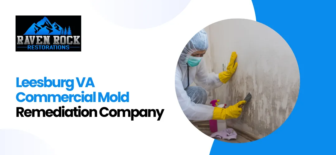 Mold Remediation Company