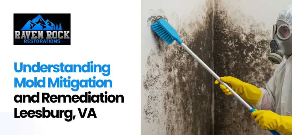 mold remediation Leesburg VA
