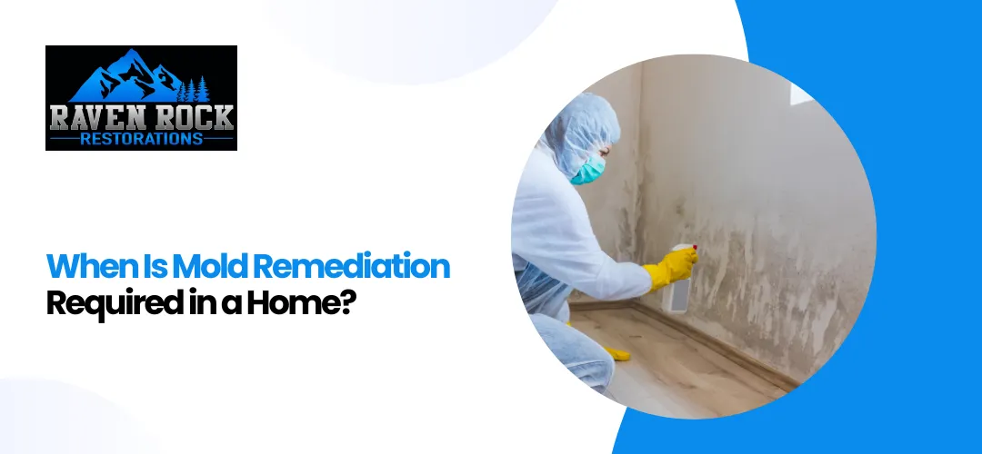 Mold Damage Restoration