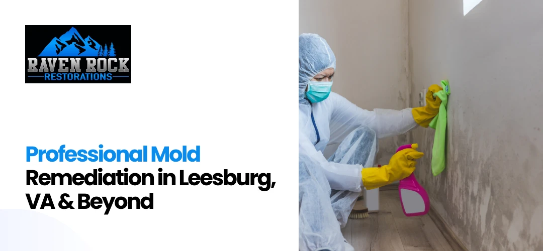 mold remediation Leesburg, VA