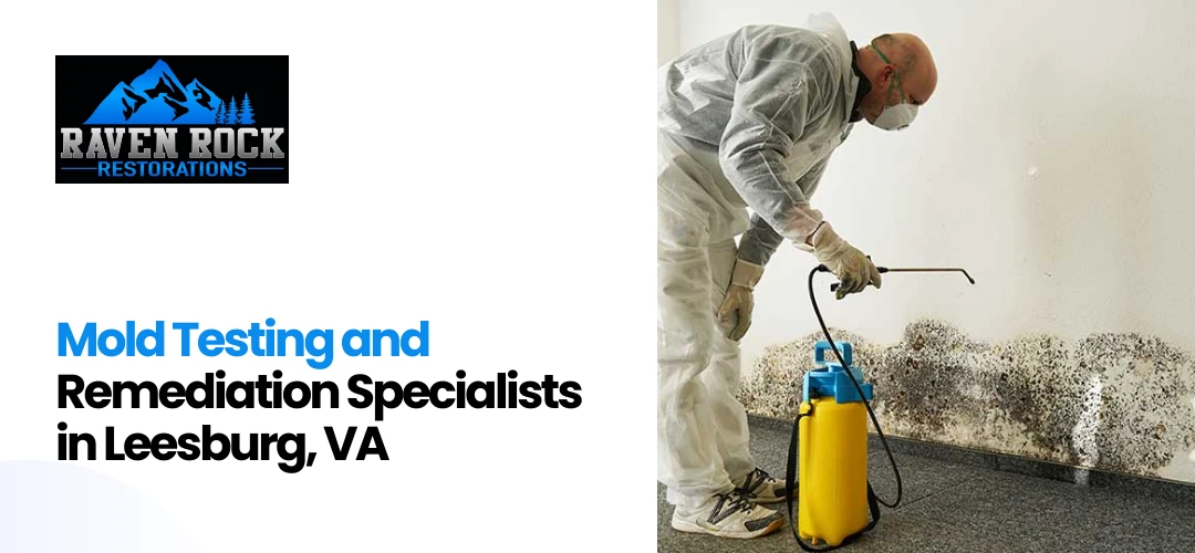 mold remediation near me Leesburg, VA