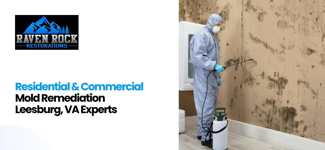 Mold Remediation Leesburg, VA