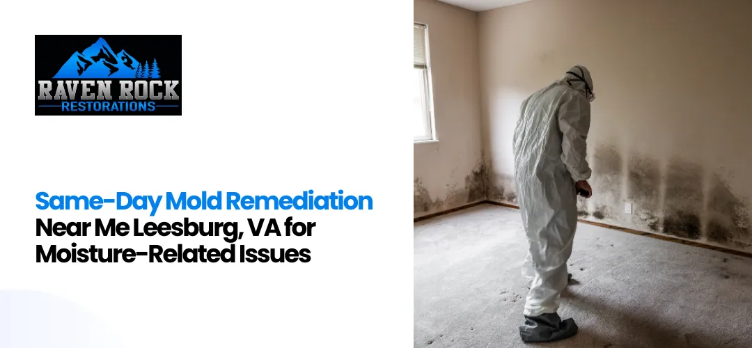 Mold Remediation Near Me Leesburg, VA