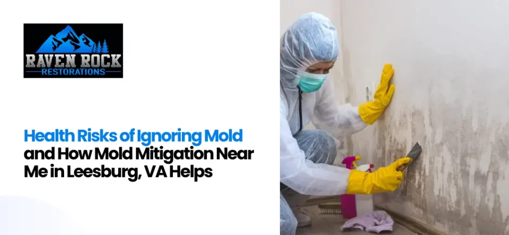 Mold Mitigation Near Me in Leesburg, VA