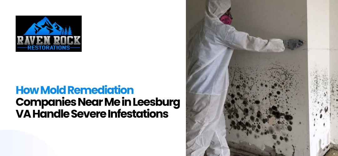 Mold Remediation Companies Near Me in Leesburg VA