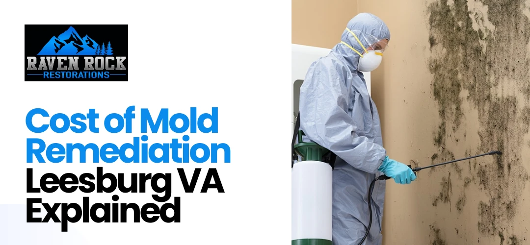 Mold Remediation Leesburg VA