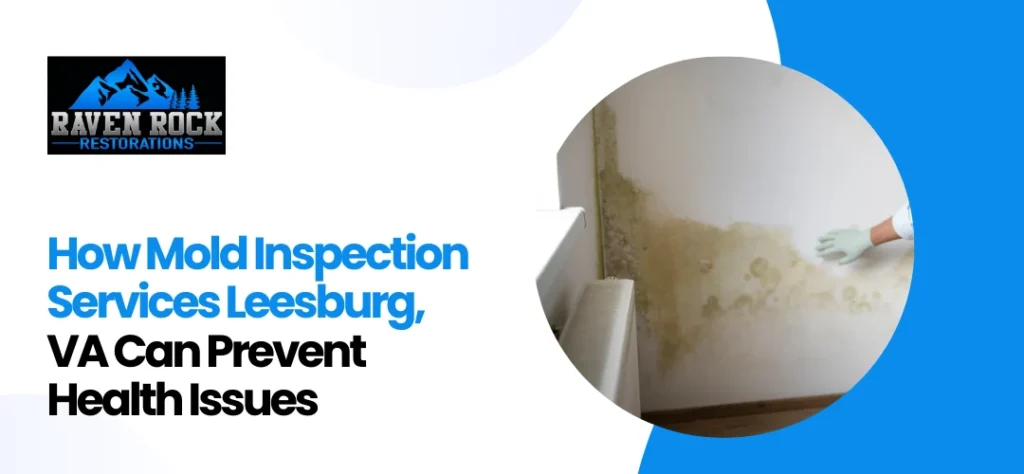 Mold Inspection Services Leesburg, VA