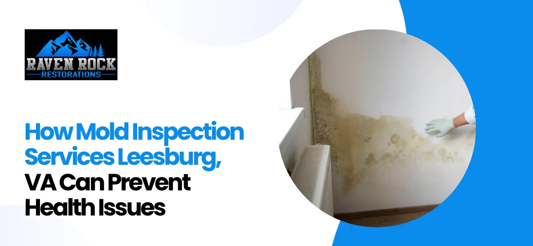 Mold Inspection Services Leesburg, VA