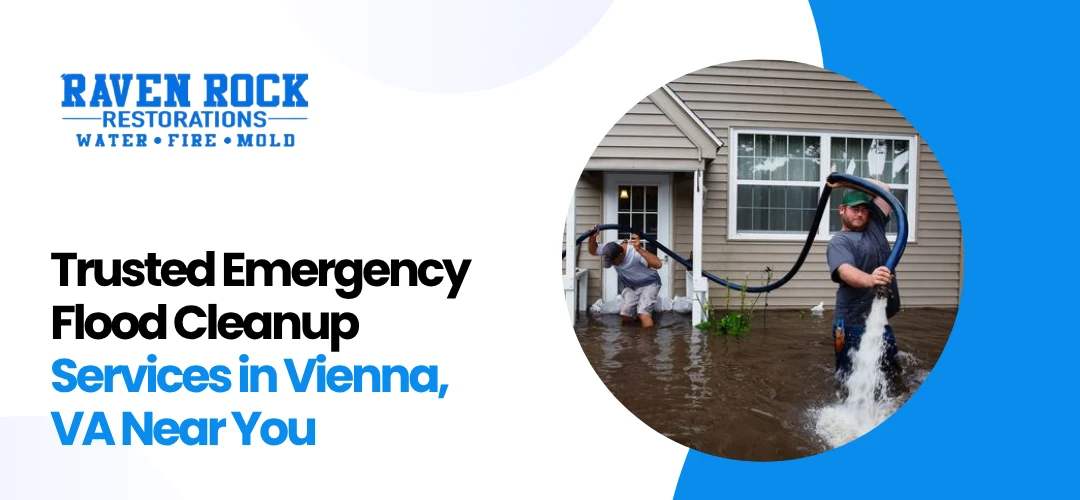 Flood Cleanup Services in Vienna, VA