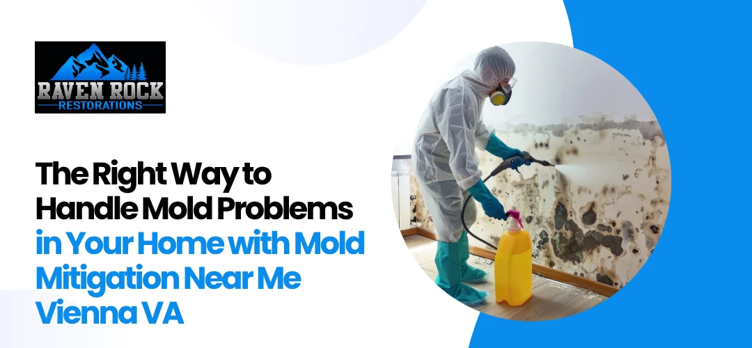 Mold Mitigation Near Me Vienna VA