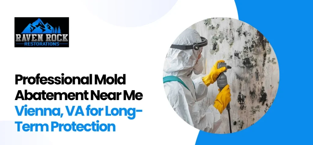 Mold Abatement Near Me Vienna, VA