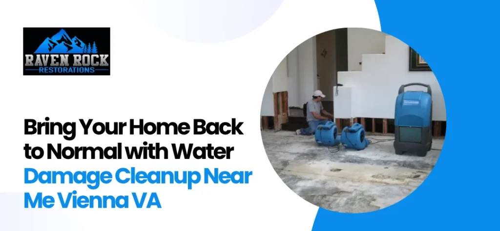 Water Damage Cleanup Near Me Vienna VA