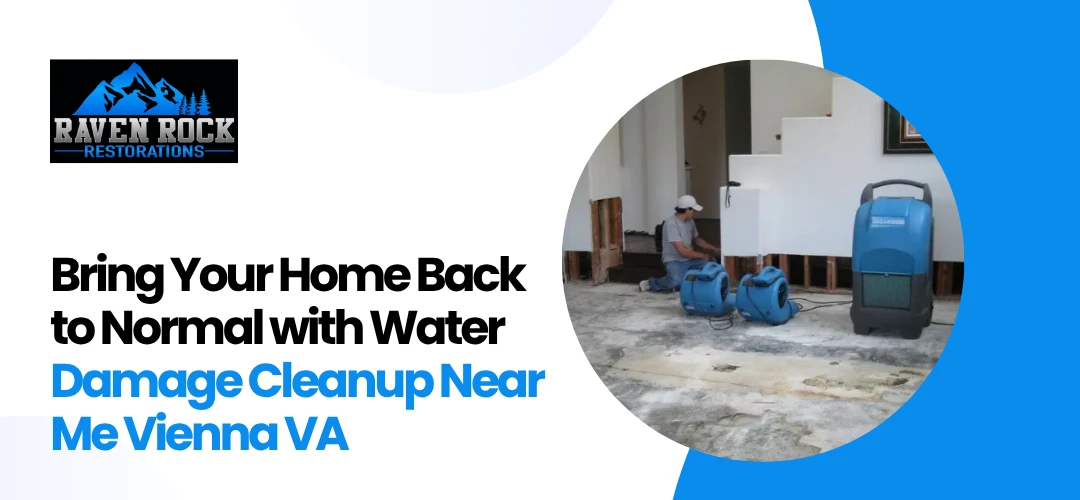 Water Damage Cleanup Near Me Vienna VA