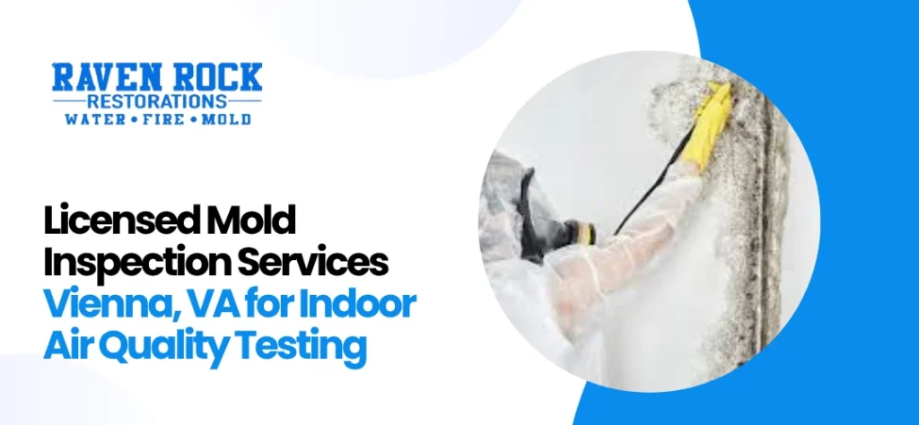 Mold Inspection Services Vienna, VA