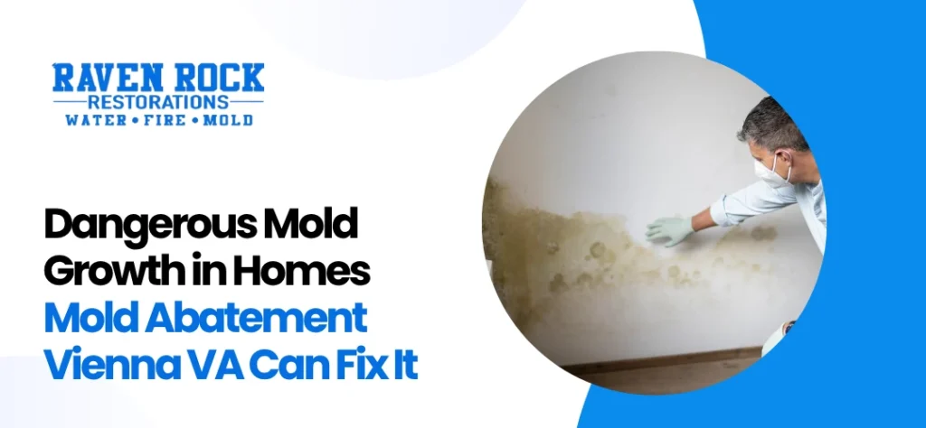 Mold Abatement Vienna VA