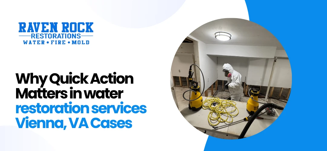 water restoration services Vienna, VA