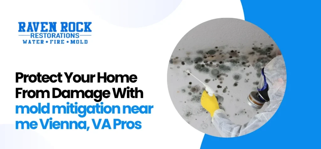 mold mitigation near me Vienna, VA