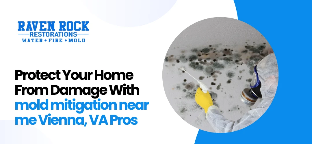 mold mitigation near me Vienna, VA