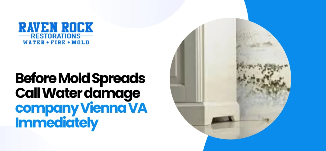 Water damage company Vienna VA