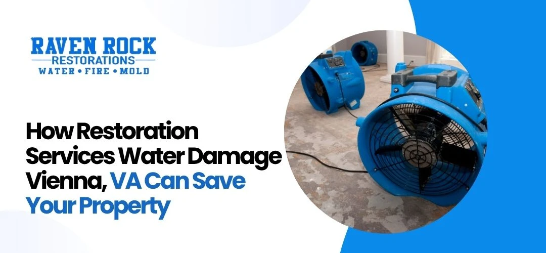 Restoration Services Water Damage Vienna, VA