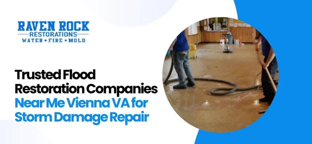 Flood Restoration Companies Near Me Vienna VA