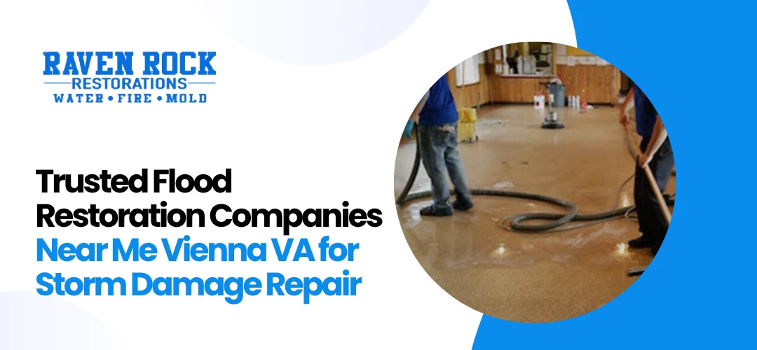 Flood Restoration Companies Near Me Vienna VA