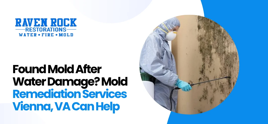 Mold Remediation Services Vienna, VA