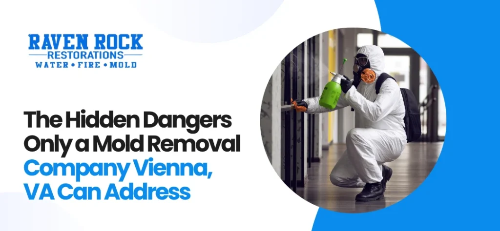 Mold Removal Company Vienna, VA