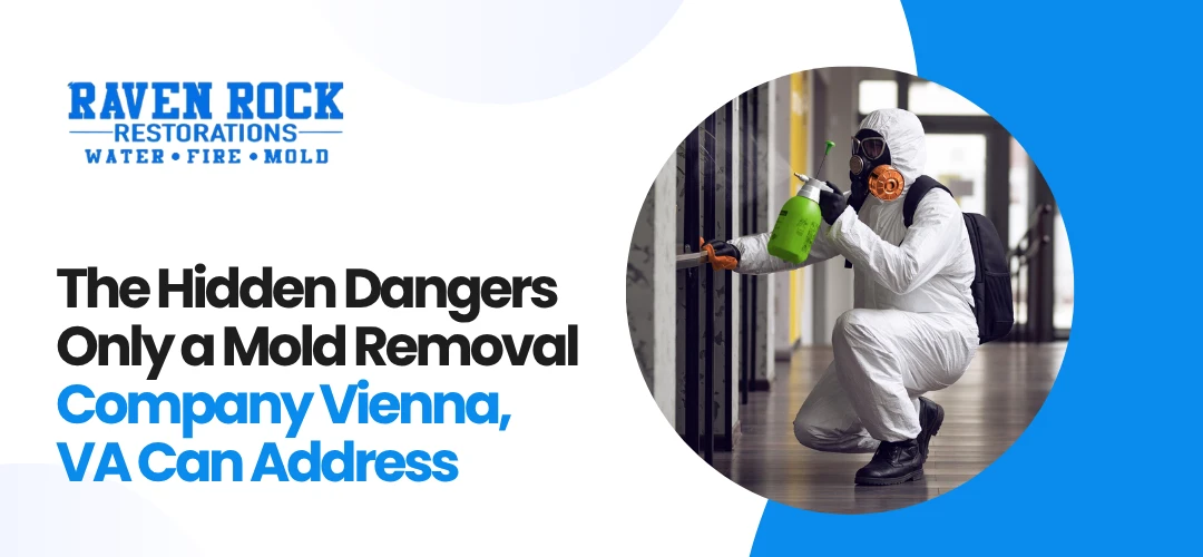 Mold Removal Company Vienna, VA