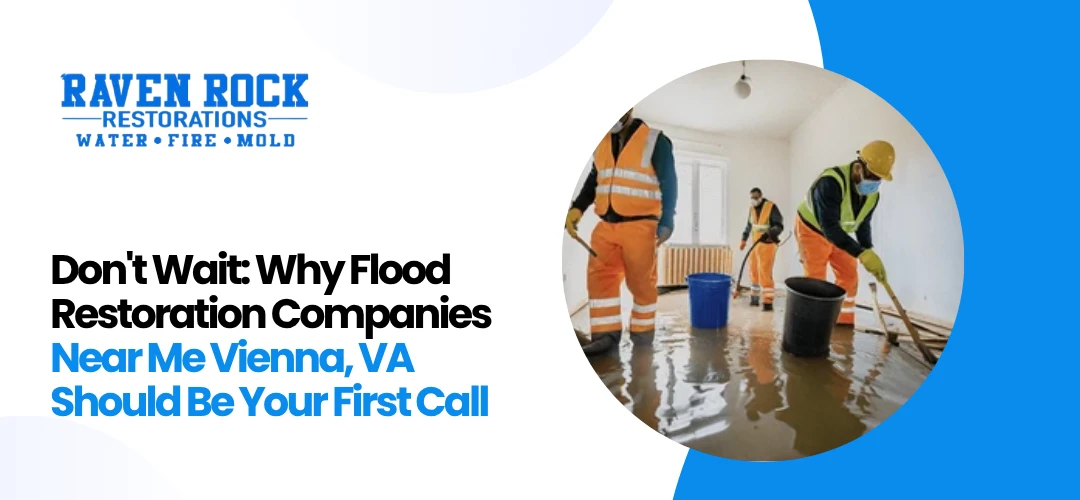 Flood Restoration Companies Near Me Vienna, VA