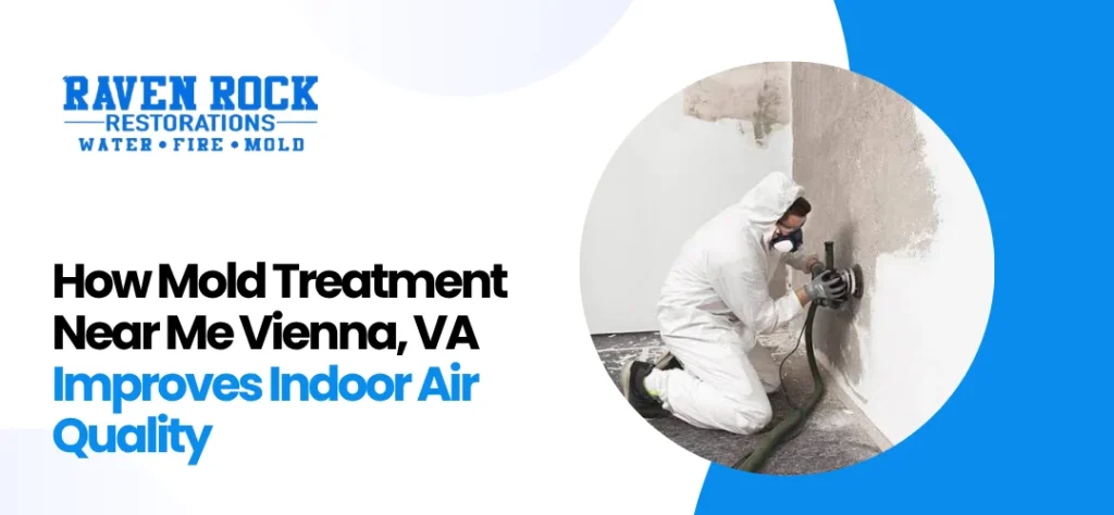 Mold Treatment Near Me Vienna, VA