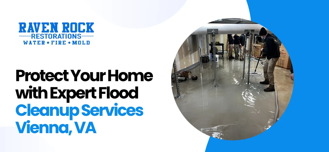 Flood Cleanup Services Vienna, VA