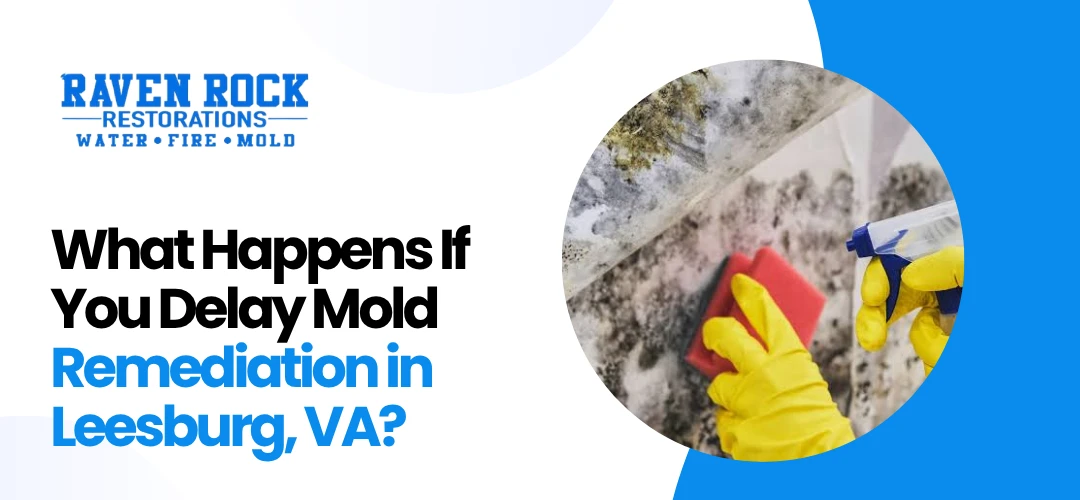 Mold Remediation in Leesburg, VA