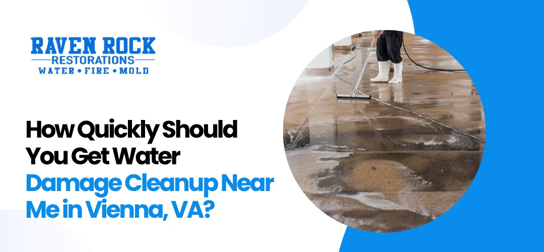 Water Damage Cleanup Near Me in Vienna, VA