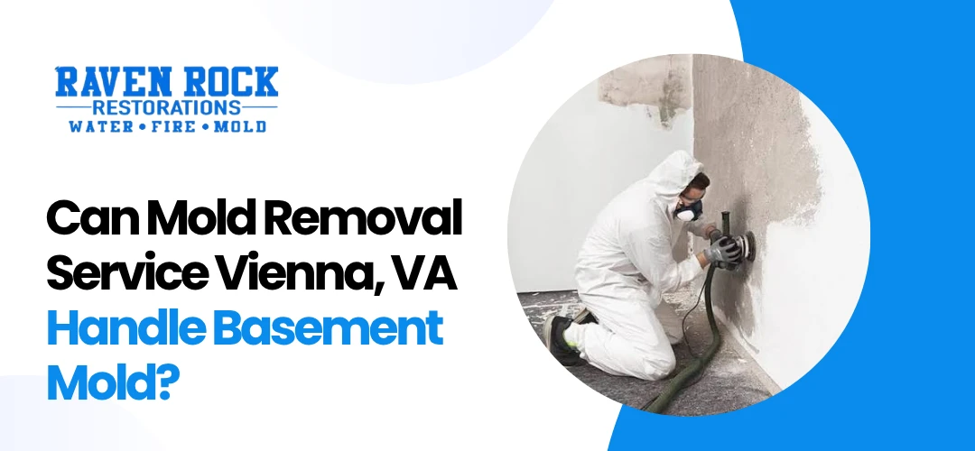 Mold Removal Service Vienna, VA