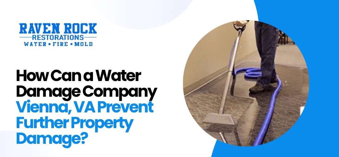 Water Damage Company Vienna, VA