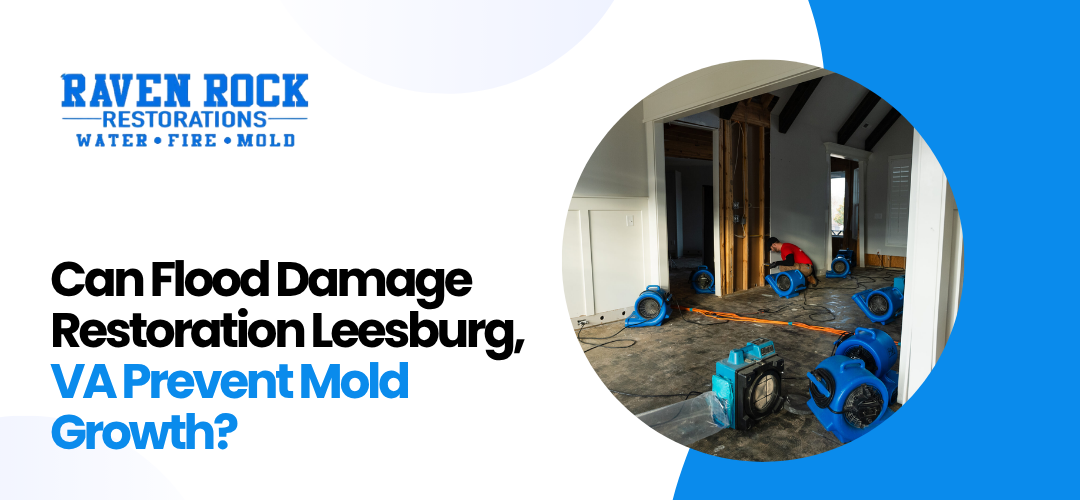 Flood Damage Restoration Leesburg, VA