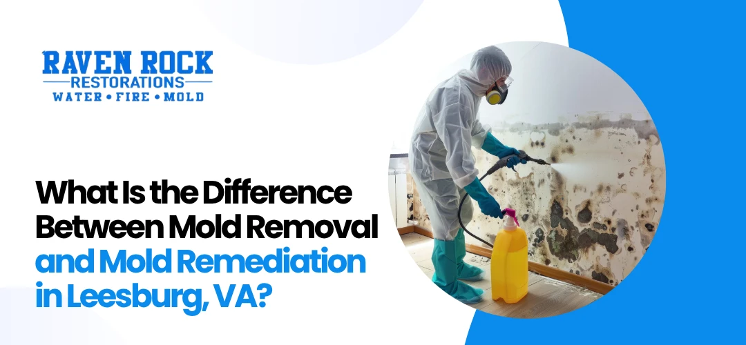 mold remediation near me Leesburg,VA