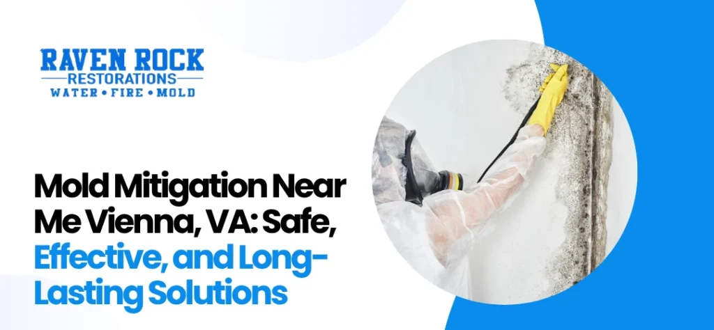 Mold Mitigation Near Me Vienna, VA