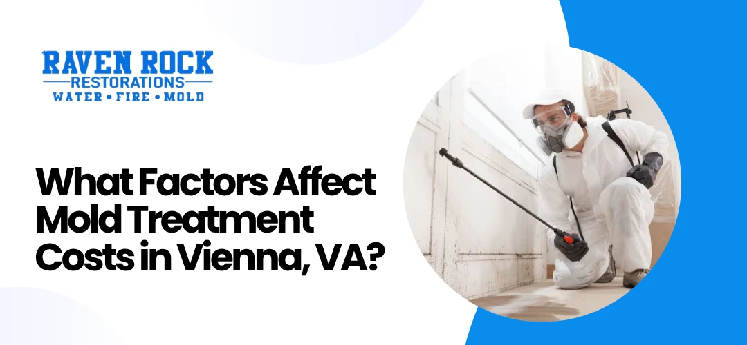 mold treatment near me Vienna, VA
