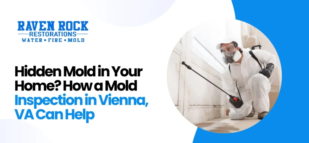 Mold inspection services Vienna, VA