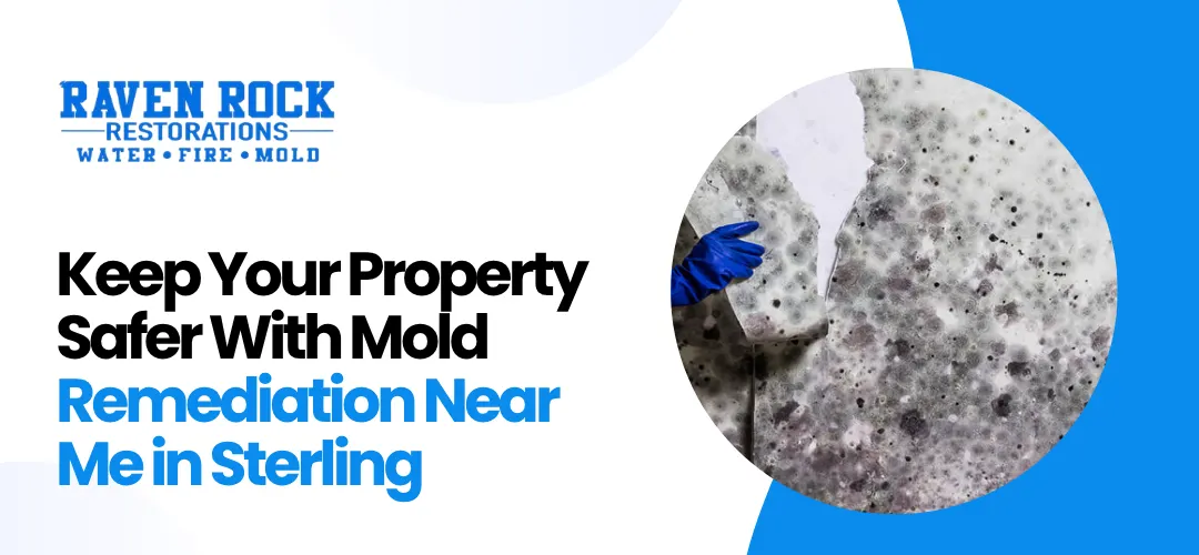 Mold remediation near me Sterling,VA