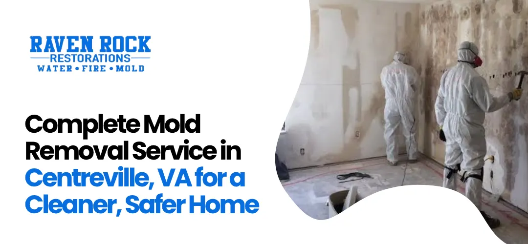 Mold Removal Service in Centreville, VA