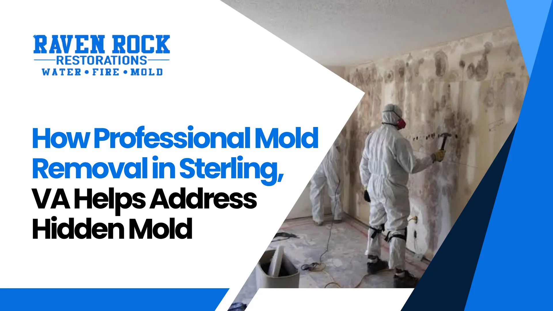 Professional Mold Removal in Sterling, VA