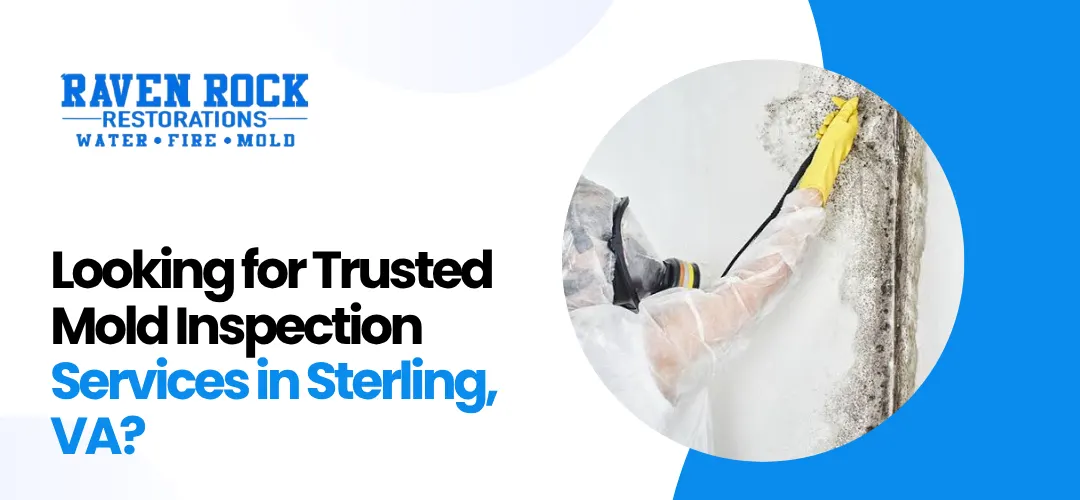 Mold Inspection Services in Sterling, VA